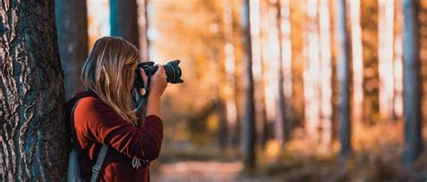 sony lenzen|beste camera voor vogelfotografie.